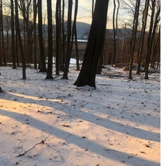 Tu B'Shevat Song(Teaching Recording)