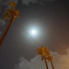 Kal Chaudhavi Ki Raat ft. Trisha Kale