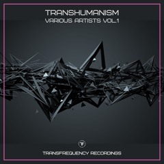 An Galar Dub - Giniúint TFRVA001g (Out Now On TransFrequency Recordings)