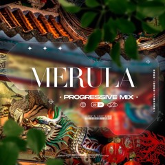 Merula • Progressive Mix
