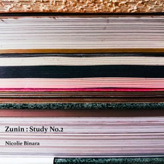 Study No. II