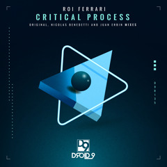 Roi Ferrari - Critical Process (Juan Erbin Remix) [Droid9]