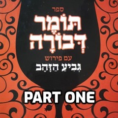 Tomer Deborah