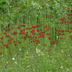 Quelques instants volés