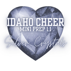 Silver Crystals 24