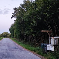 Drive