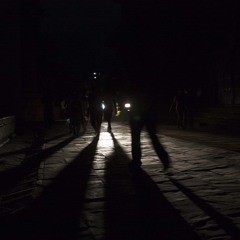 Shadows In The Night