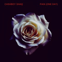 Pain(One Day)
