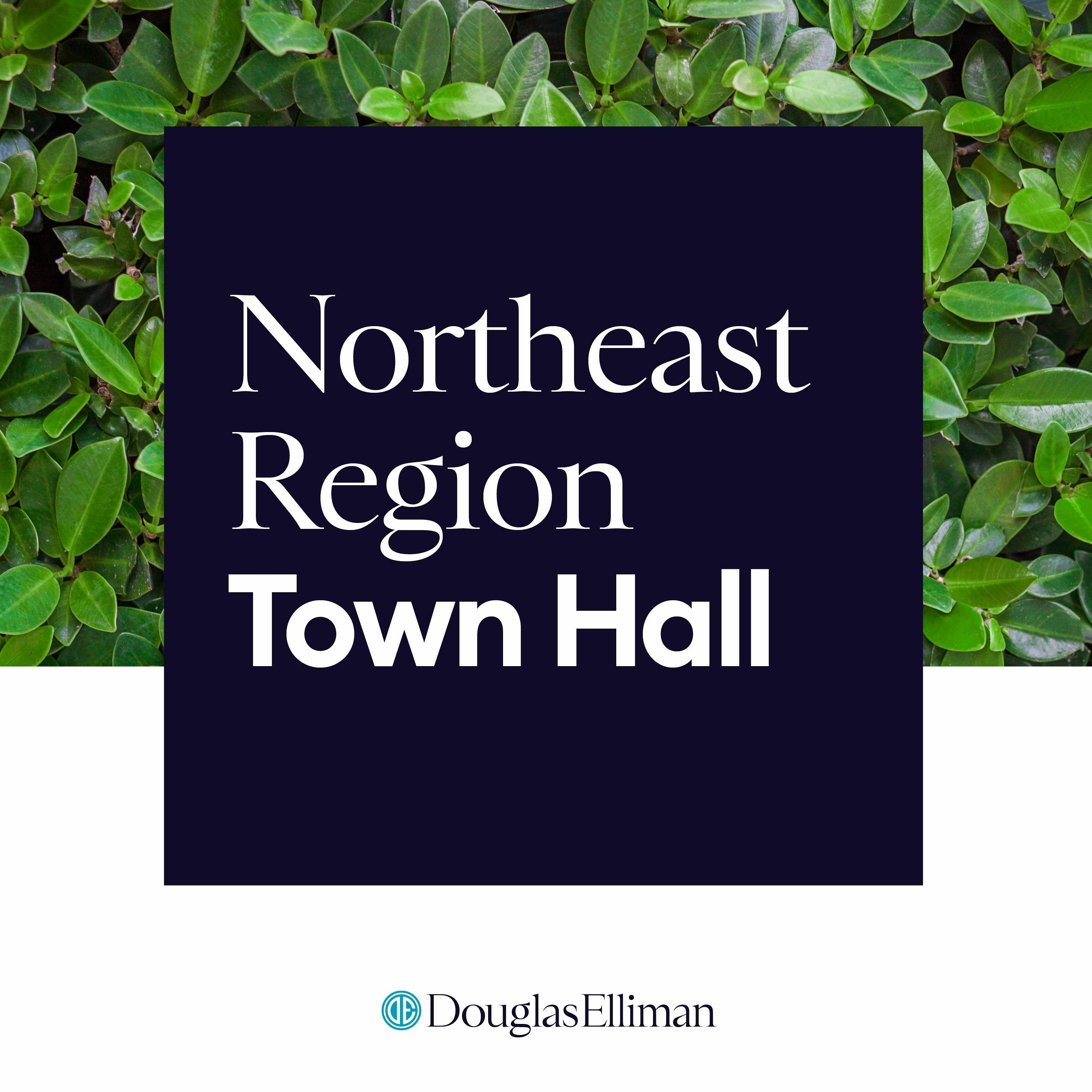 Douglas Elliman Northeast