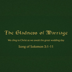 The Gladness of Marriage (Song of Solomon 3:1-11)