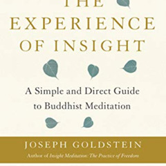 download EPUB 📒 The Experience of Insight: A Simple and Direct Guide to Buddhist Med