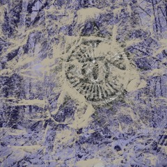 Serpentine Vision