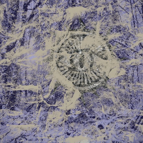 Serpentine Vision