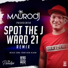 SPOT THE J . WARD 21 DJ MAURO REMIX