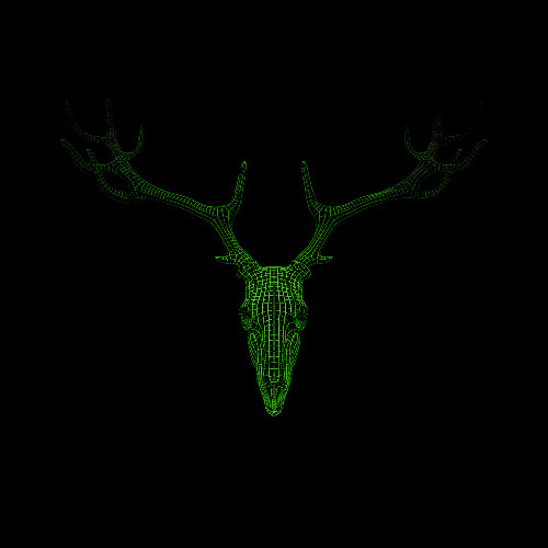 Fawn