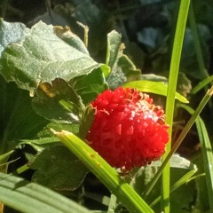 You are such a sweetheart