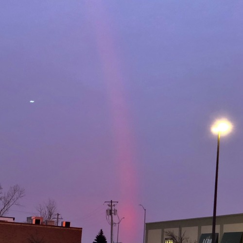 in and out of the cage (still the days keep on turning)