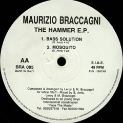 Leroy & Maurizio Braccagni - Bass Solution