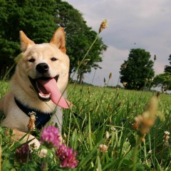 Sometimes Ariana Grande cover- LEAH