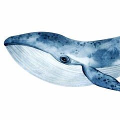 All The Whales