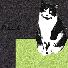 Frankie the Cat Moves