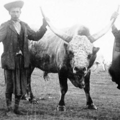 Huns out of control lV