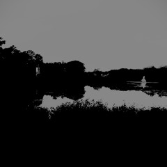 Collapsed Void
