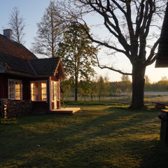 Dawn Chorus (2) 13 May 2025-4.47am - Sauna House, Palupohja