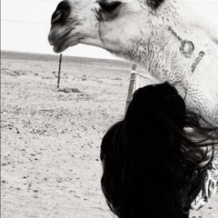 يا صاحبي يا مودي