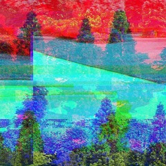 ROLL OUT FEB 2022 MIX