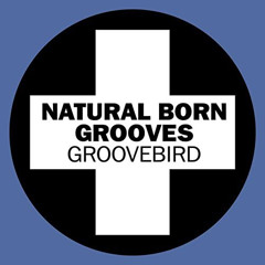 Natural Born Grooves - Groovebird (1995)