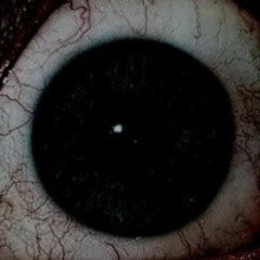 Eppure Sentire (breakcore edit)