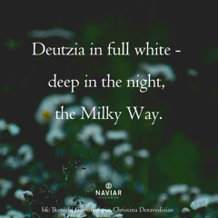 deep in the night [naviarhaiku621]