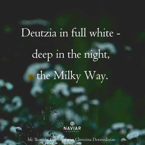 deep in the night [naviarhaiku621]