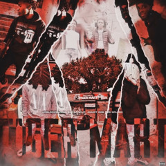 tigar mart - wb splush