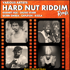 Flowin Vibes - Hard Nut To Crack Riddim Remix