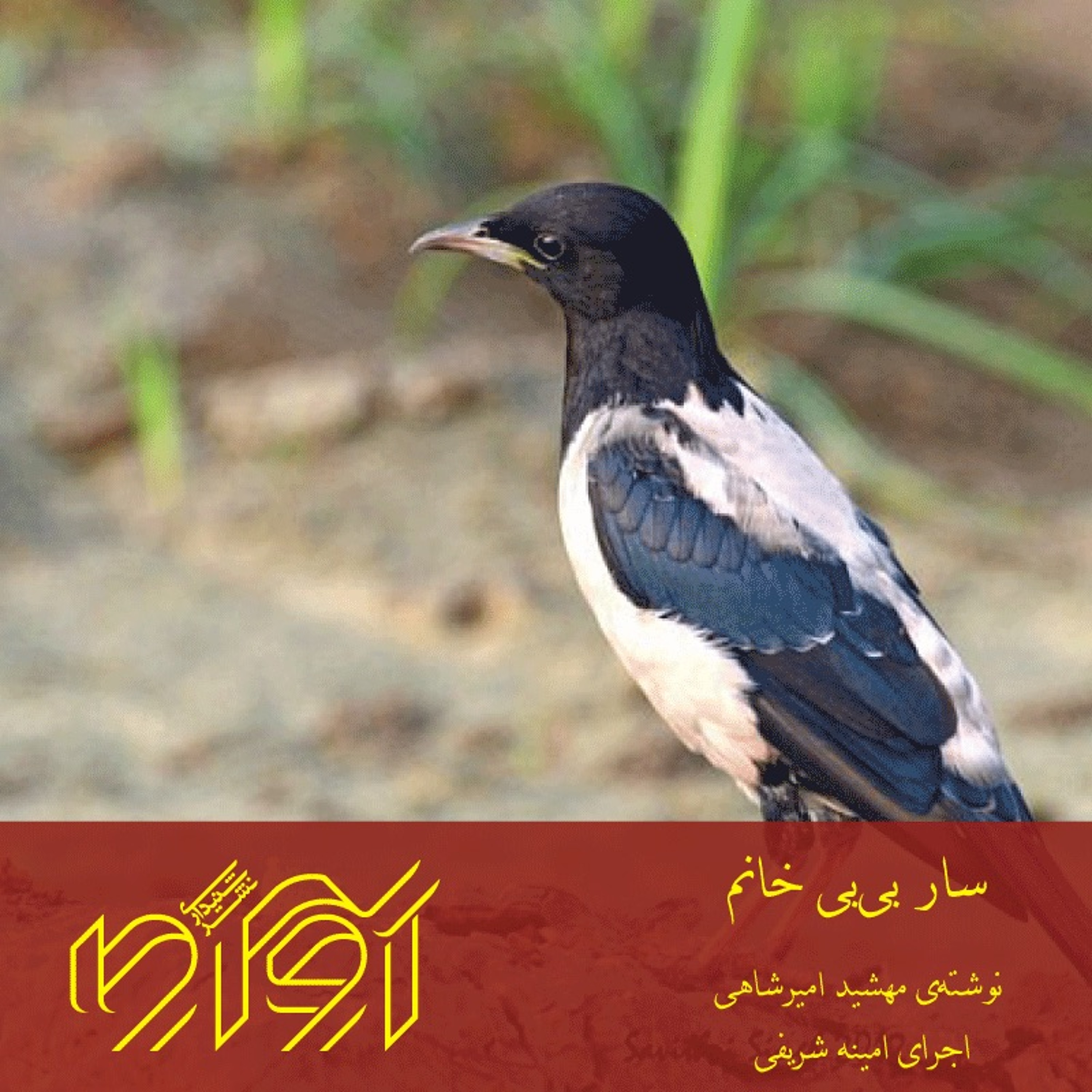 سار بی‌بی خانم episode artwork