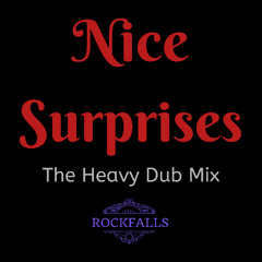 Nice Surprises (Heavy Dub Mix)