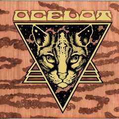 2022_Tribute to oCeLoT Sound Universe Pt. 1_Night