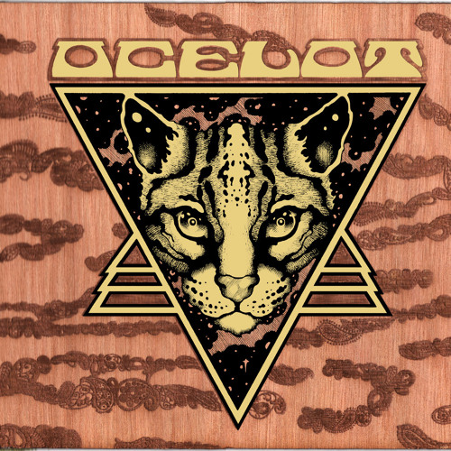 2022_Tribute to oCeLoT Sound Universe Pt. 1_Night