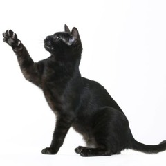 we dont even fw u lol