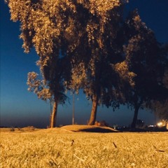 مهند محسن ضايع