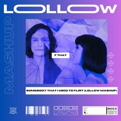 Somebody That I Used To Flirt (Lollow Mashup) Filtered