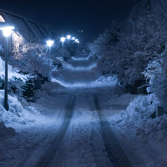 -24c