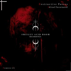ADIRAEL INCARNATED - Destructive Forces