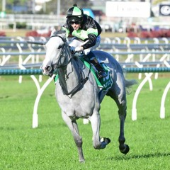Doomben 13th Of February Punting Preview