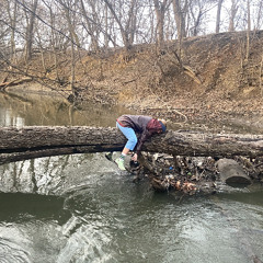 forestglen.bubbling.001