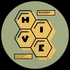 PREMIERE: Stewart Birch - Aint No Coming Back [Hive Label]