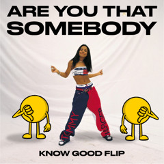 Are You That Somebody (Know Good Flip)