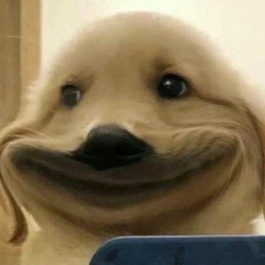 เผื่อว่าจะพบเธอสักวัน